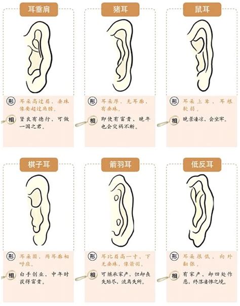 耳朵相|面相耳朵图解【最详细版】 – 杨易德全集官网